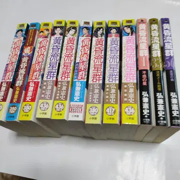 황혼 유성군 전 12권 히로카네 켄시