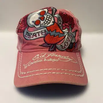 Ed Hardy 스컬 자수 핑크 데미지 캡