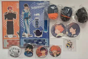 하이큐 히나타 카게야마 세트