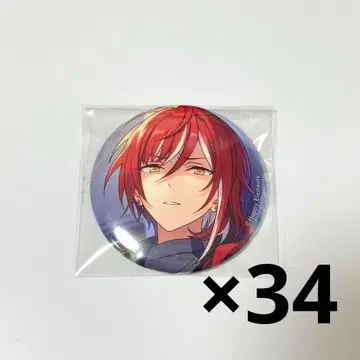 사카사키 나츠메 이베코레 캔뱃지 34개