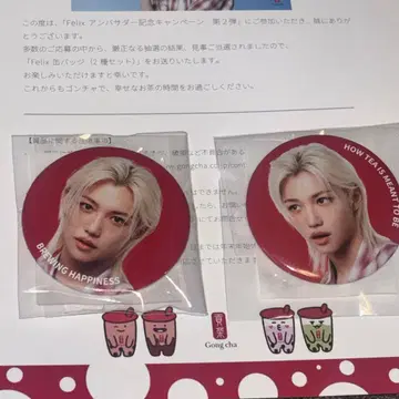 StrayKids 스키즈 필릭스 당선품 공차 캔뱃지