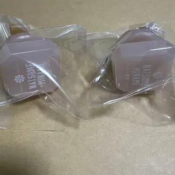 아이나나 링라이트 나츠메 미나미 린라이 10주년