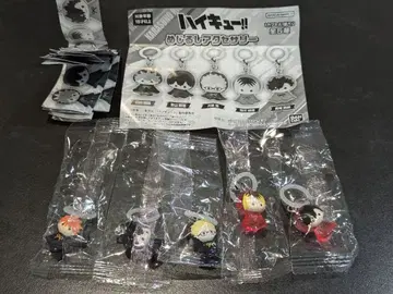 하이큐!! 메지루시 액세서리 컴플리트 세트 카라스노 고교 네코마 고교