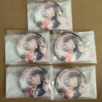 채광 반짝반짝 배지 고쿠데라 하야토 5개