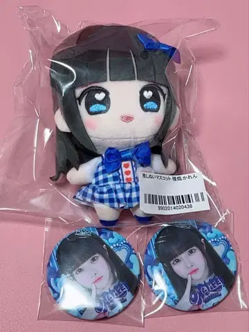 최애 누이 마스코트 & 캔 배치 소라시 카렌 iLife