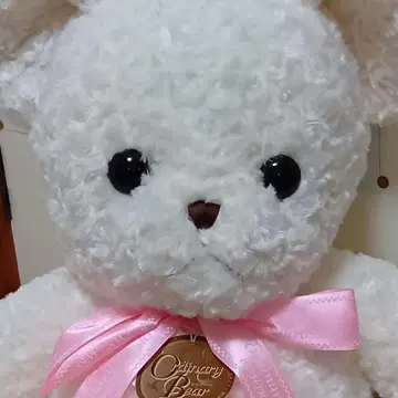 커다란 곰 봉제 인형