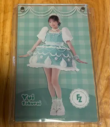 사쿠라이 유이 아크릴 섀도우 박스