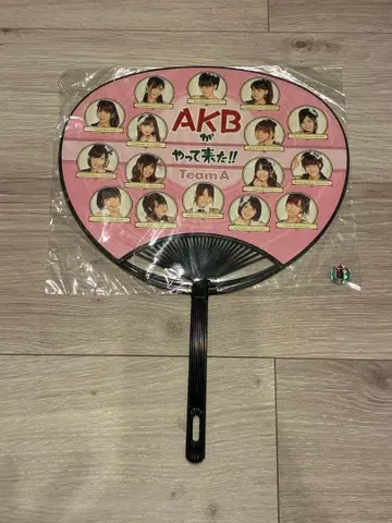 [ 24시간 이내 발송 ] AKB Team A 부채 2010 SUMMER