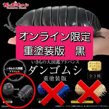 공벌레 중도장판 온라인판 생물대도감 어드밴스 블랙