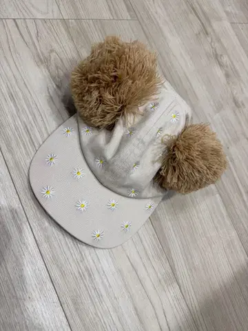 USJ 꽃무늬 자수 퍼 포함 캡 57-59cm