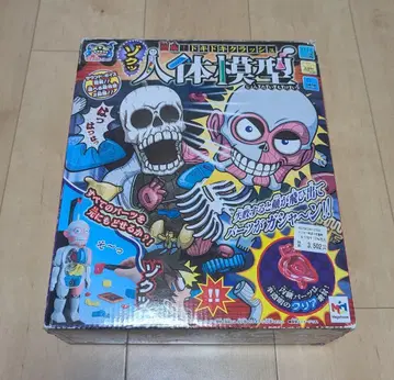 두근두근 크러쉬 인체 모형