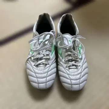 모나르시다 네오 3 엘리트 와이드 모델