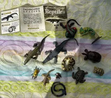 [ 익명 배송 ] 카롤라타 레프타일 피규어 세트 파충류 모음