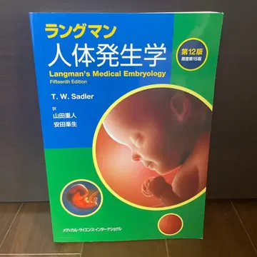 랭그먼 인체 발생학