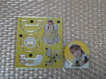 FRUITS ZIPPER 3주년 스키복권 하야세 노엘 후르츠 지퍼