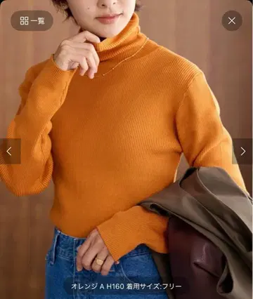 JOURNAL STANDARD relume 터틀넥 풀오버