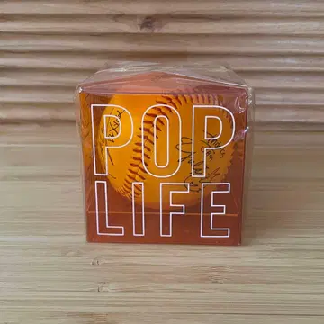 JUDY AND MARY POPLIFE 사인 공 투어 굿즈 돔