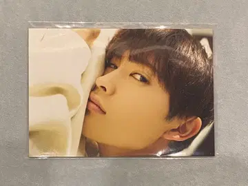 마시코 아츠키 브로마이드