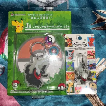 다크라이 포켓몬 타임 스트랩 묶음 판매