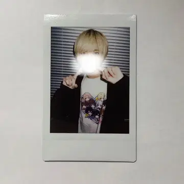 러브시크 료 폴라로이드 15 서머랜드