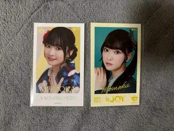 이코노이 조이 2023 vol.4 미니 포토 카드 레어 야마다 안즈카