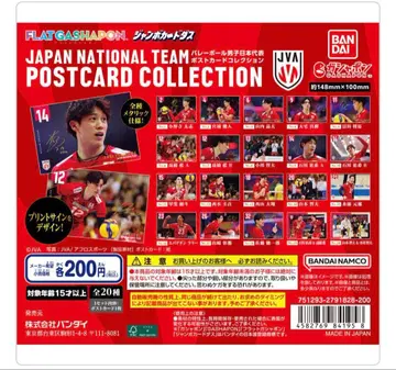 배구 남자 일본 대표 엽서 컬렉션 20종 세트