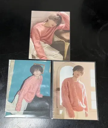 야기 유세이 쭉쭉 트레이딩 카드 익명 배송