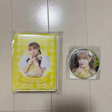 하야사카 미쿠 클리어 파일 & 캔뱃지 세트