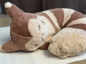 포켓몬 숲의 선물 오오타치 복슬복슬 봉제 인형