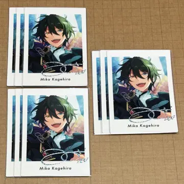 [앙스타] 카게히라 미카 웃음이 복을 부른다 파샤츠 9점