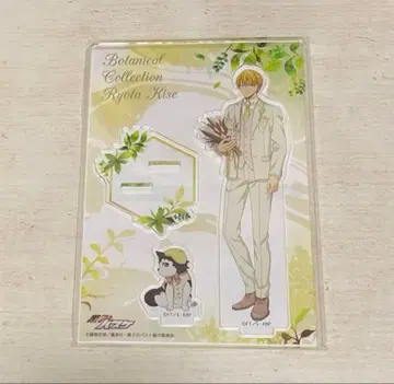 쿠로코의 농구 키세 료타 아크릴 스탠드