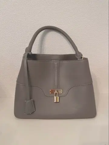 스나이델 패드락 백 그레이