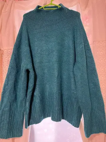 JEANASiS 터틀넥 스웨터 F