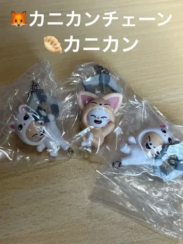 SKZOO 츳만데츠나게테 마스코트 2 지니레트 폭시니 3개 세트