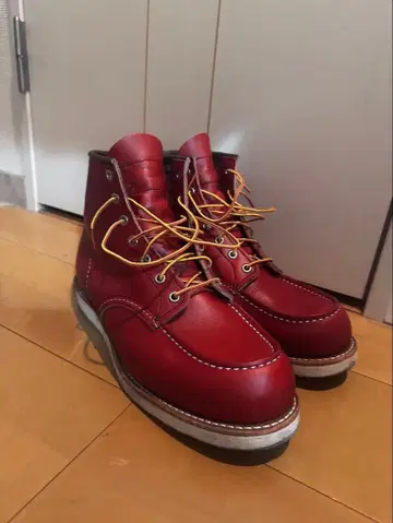redwing 8875 10E