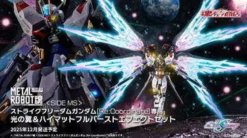 METAL ROBOT혼 스트라이크 프리덤 건담 빛의 날개 & 이펙트 세트