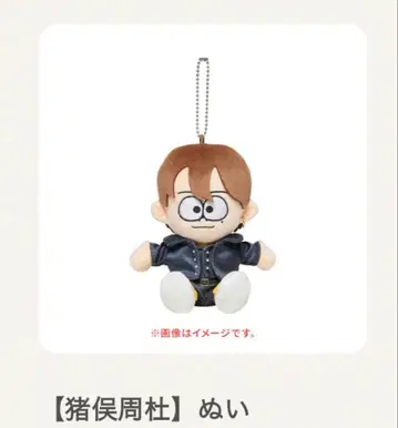 We're timelesz LIVE TOUR 이노마타 슈토 봉제인형