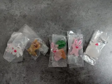 [ 새상품 ] 논탄 메지루시 액세서리 컴플리트 5개 세트