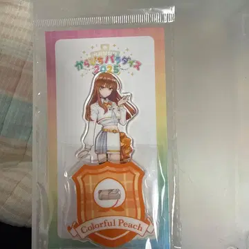 컬러풀피치 카라피치 파라다이스 2025 에토