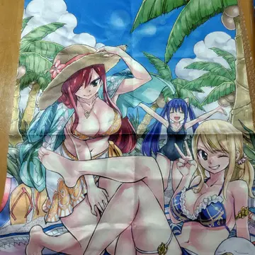 FAIRYTAIL 천 포스터 루시 & 엘자 & 웬디 페어리 테일