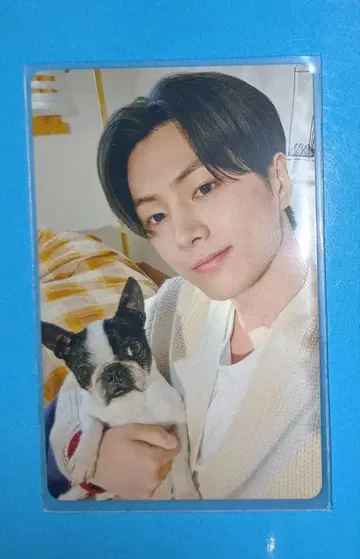 ENHYPEN 2025 설문 트레이딩 카드 제이 1000명 트레이딩 카드