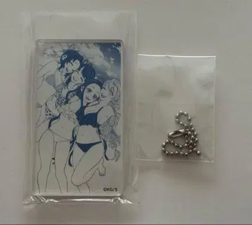 귀멸의 칼날 GIRLS 금박 아크릴 키링 컬렉션