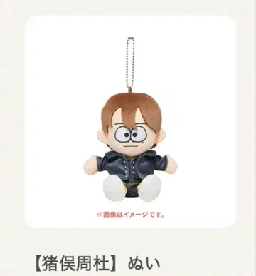 We're timelesz LIVE TOUR 이노마타 슈토 누이