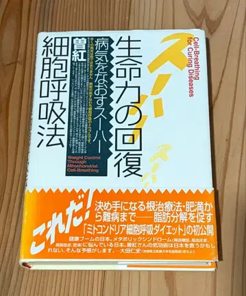 생명력 회복 세포 호흡법 소홍 저