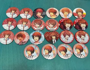 이토키 오토야 캔뱃지 세트 22개