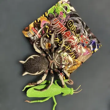 늘어나는 리얼 위험 생물 뱀 거미 전갈 BOOK