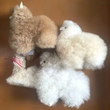 알파카 털 인형 봉제 인형 4개 세트