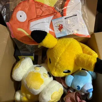 피카피카 박스 2026 개봉품 코이킹 수컷