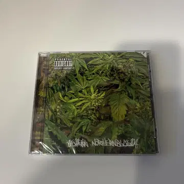 새상품 나메다루마 NORTHERN BLUE 1.0.4