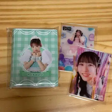 fruits zipper 스키 복권